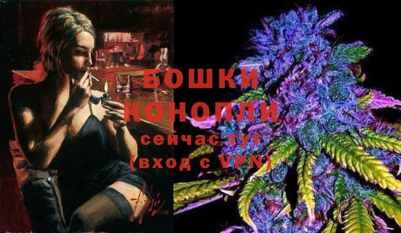 Шишки марихуана White Widow  Мураши 